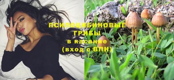 дурь Волоколамск