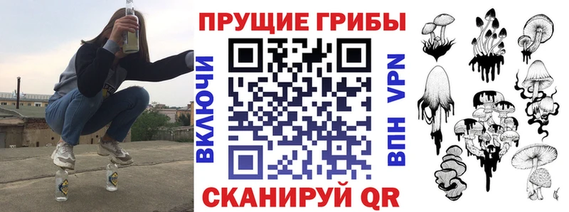 Псилоцибиновые грибы GOLDEN TEACHER  Северск 